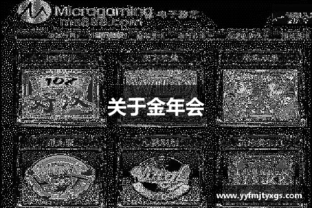 关于金年会